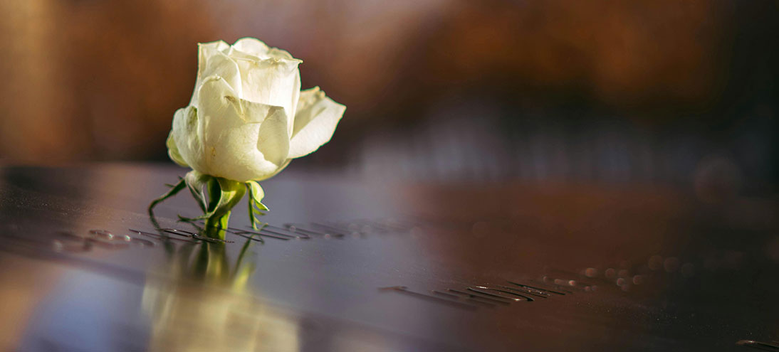 rose on a coffin