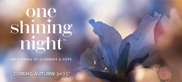 one shining night 2025